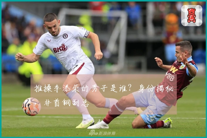 推搡李添荣的男子是谁？身份揭秘，非首钢副总