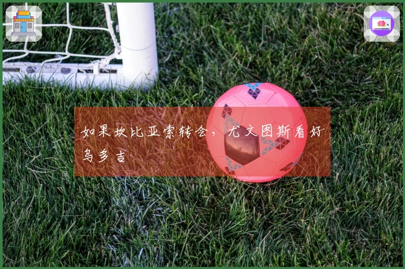 如果坎比亚索转会，尤文图斯看好乌多吉