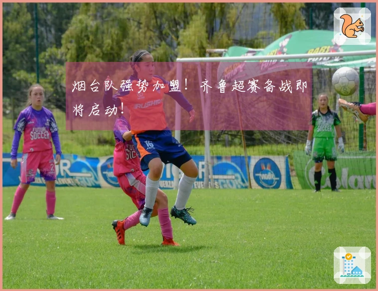 烟台队强势加盟！齐鲁超赛备战即将启动！