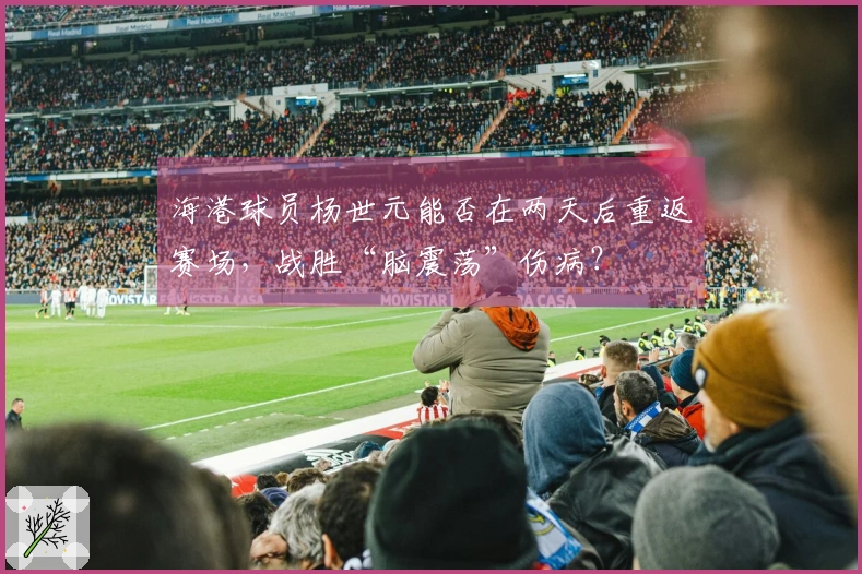 海港球员杨世元能否在两天后重返赛场，战胜“脑震荡”伤病？